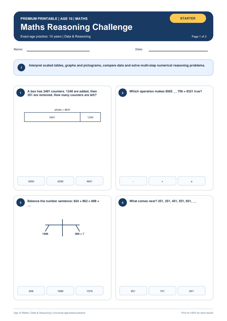 Maths Reasoning Challenge worksheet preview