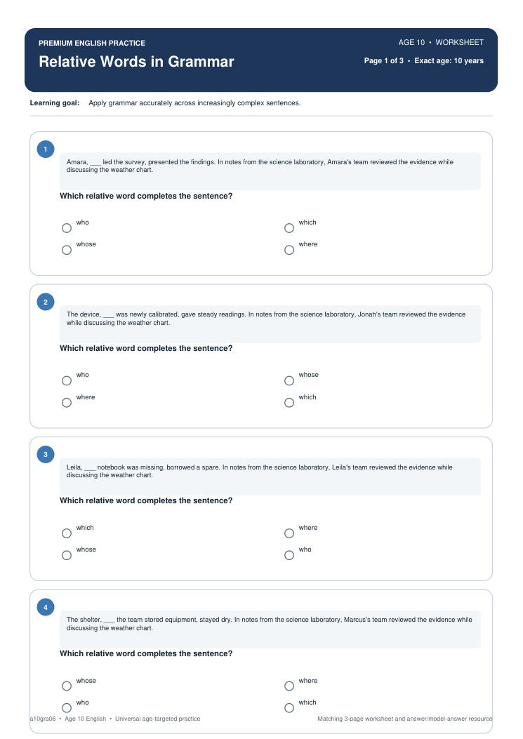 Relative Words in Grammar worksheet preview