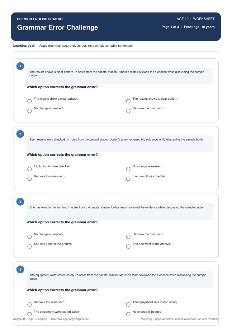 Grammar Error Challenge worksheet preview