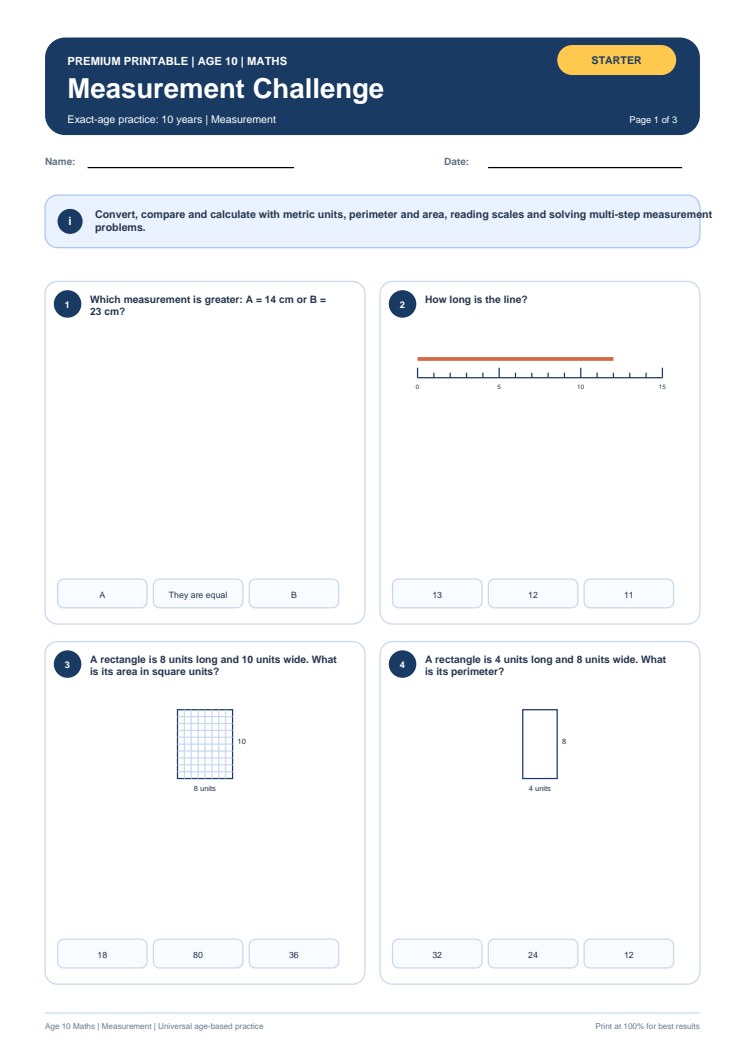 Measurement Challenge worksheet preview