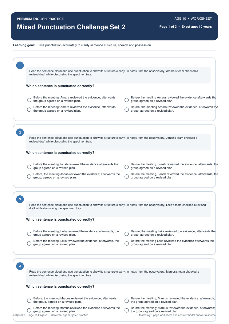 Mixed Punctuation Challenge Set 2 worksheet preview