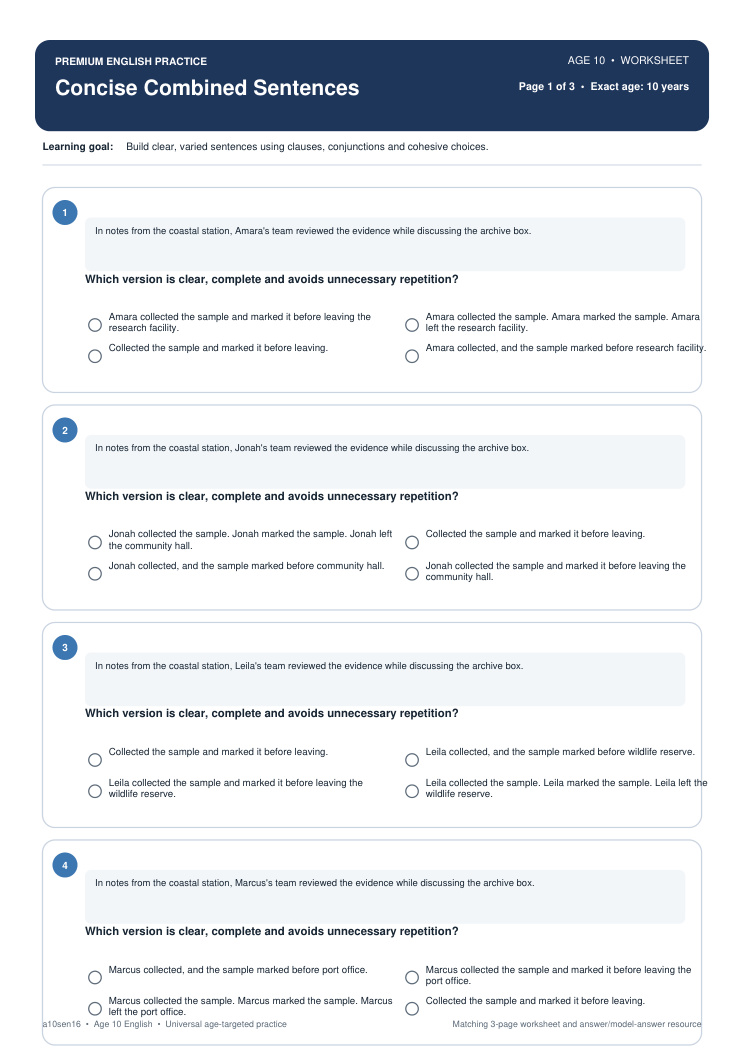 Concise Combined Sentences worksheet preview