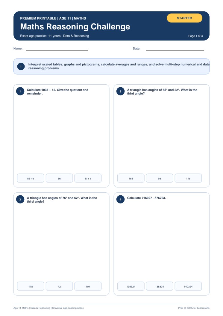 Maths Reasoning Challenge worksheet preview