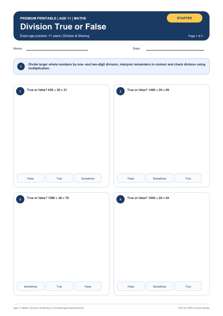 Division True or False worksheet preview