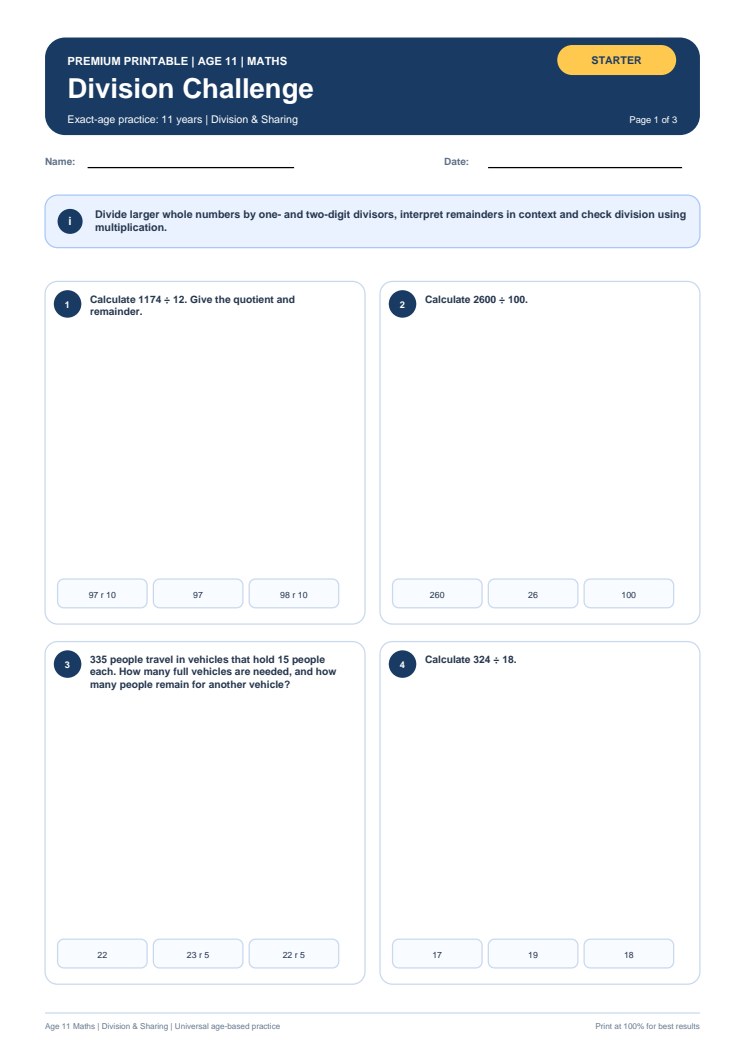 Division Challenge worksheet preview