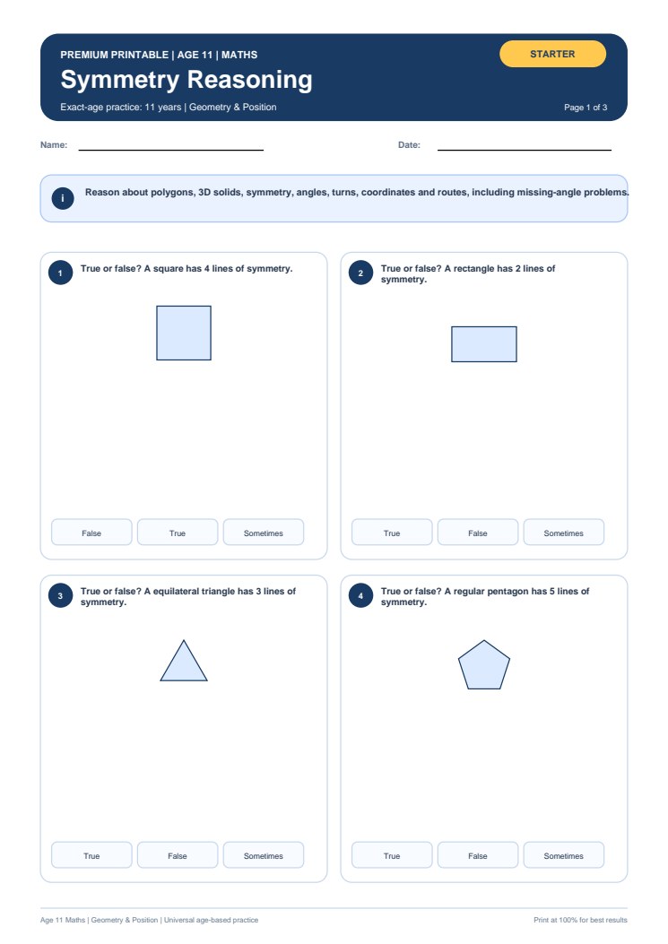 Symmetry Reasoning worksheet preview