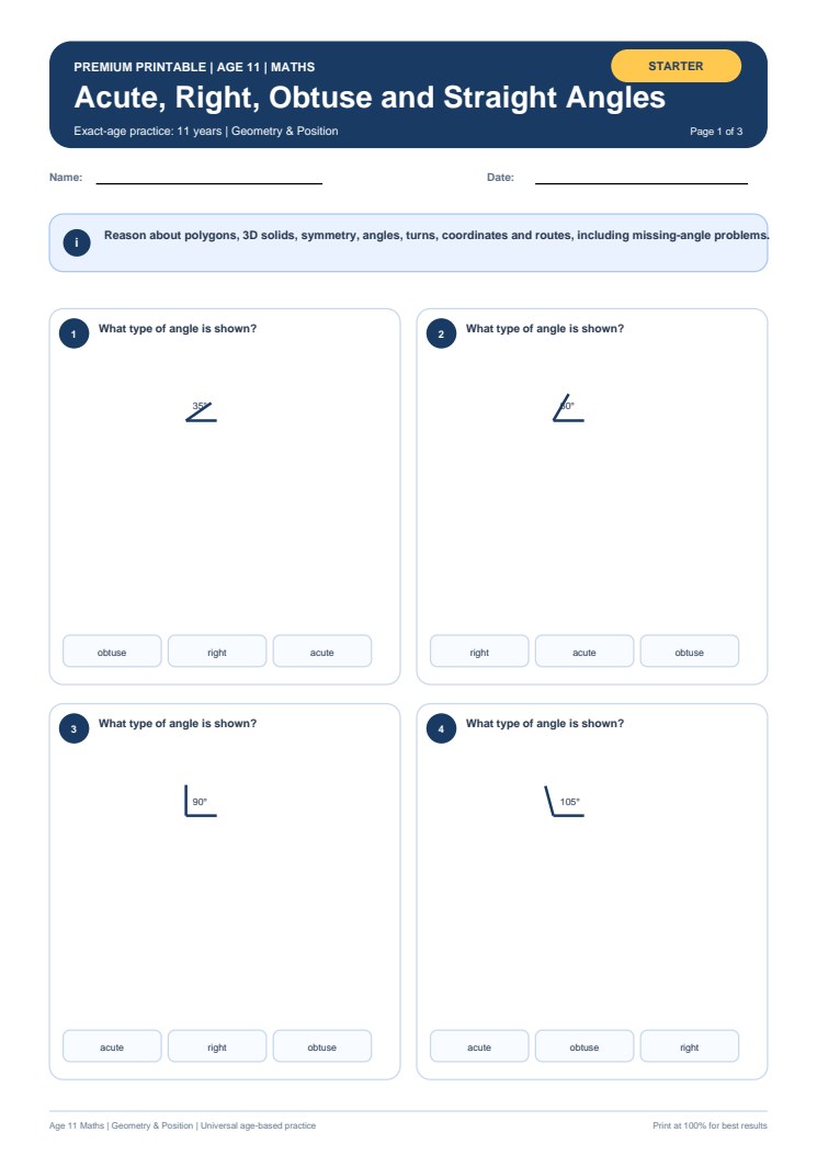 Acute, Right, Obtuse and Straight Angles worksheet preview