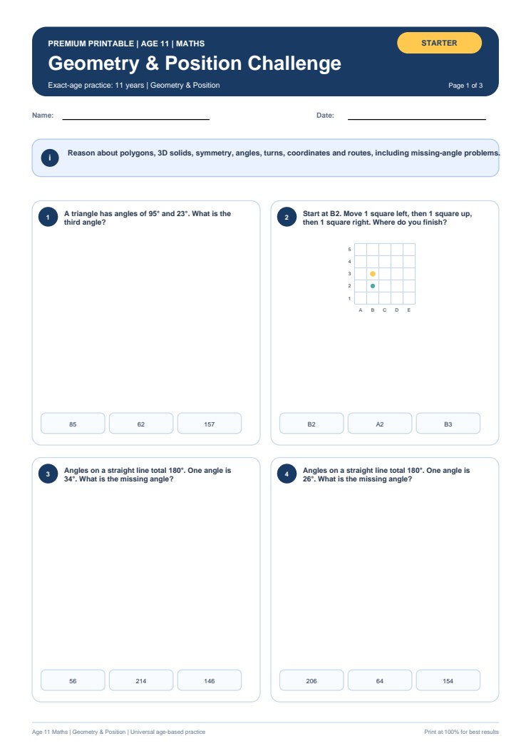 Geometry & Position Challenge worksheet preview