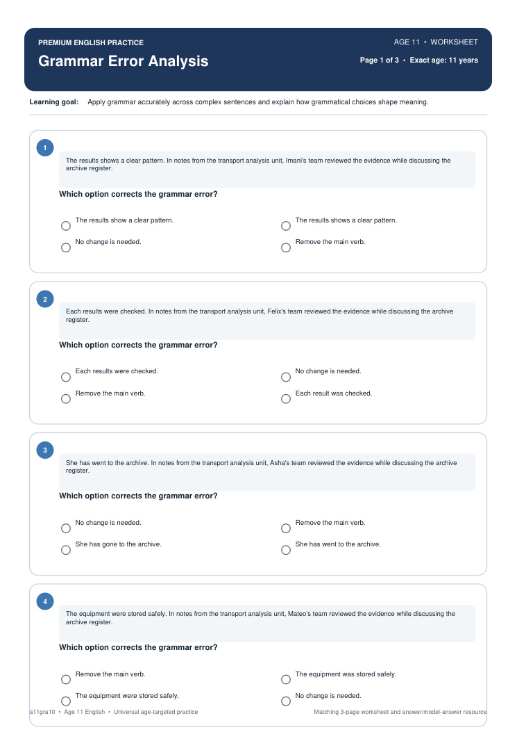 Grammar Error Analysis worksheet preview