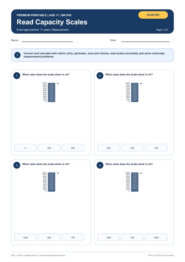Read Capacity Scales worksheet preview