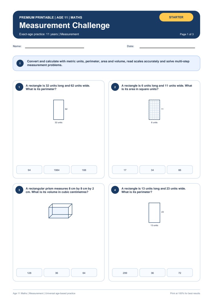 Measurement Challenge worksheet preview