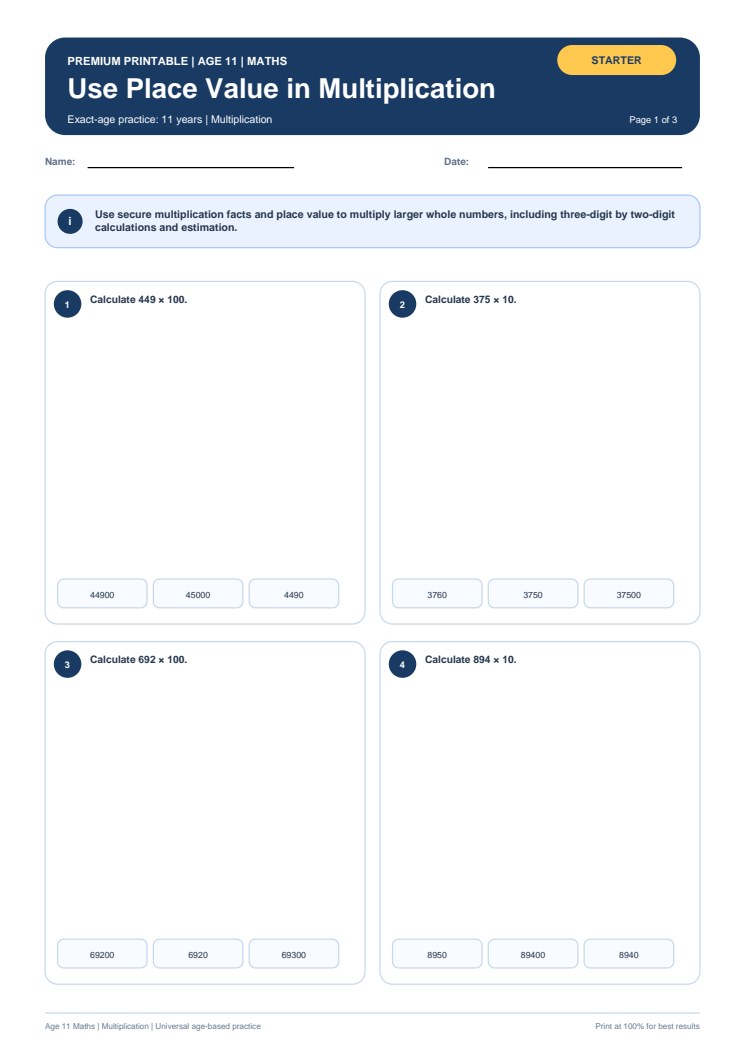 Use Place Value in Multiplication worksheet preview