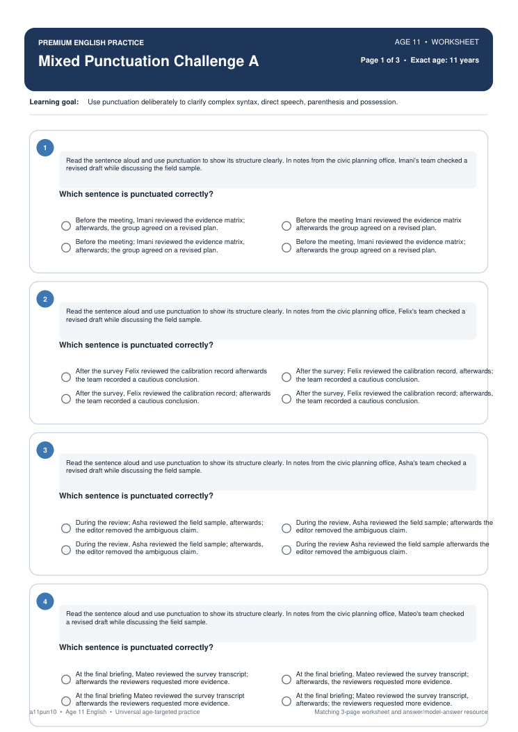 Mixed Punctuation Challenge A worksheet preview