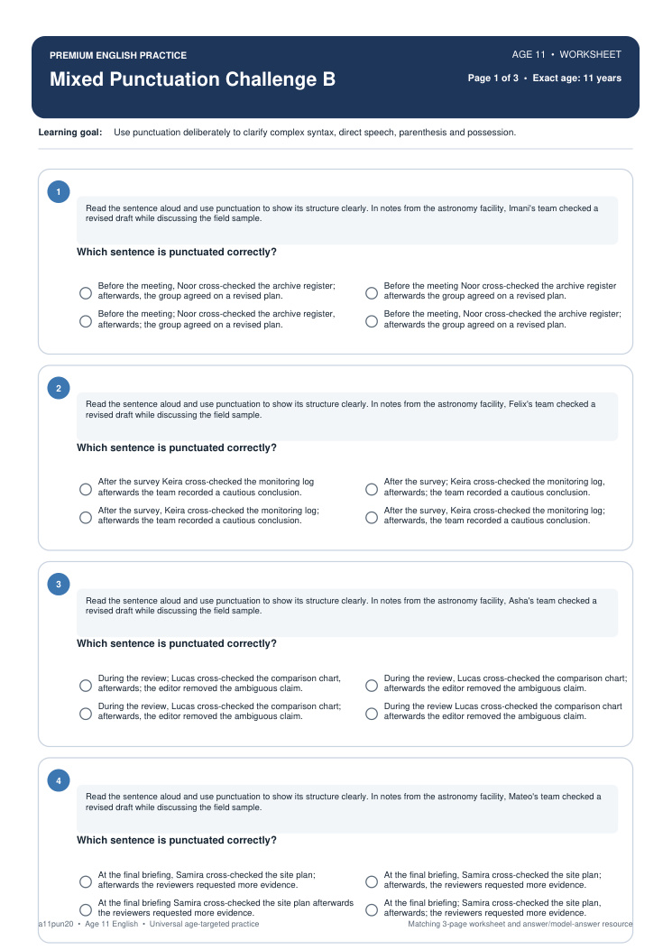 Mixed Punctuation Challenge B worksheet preview