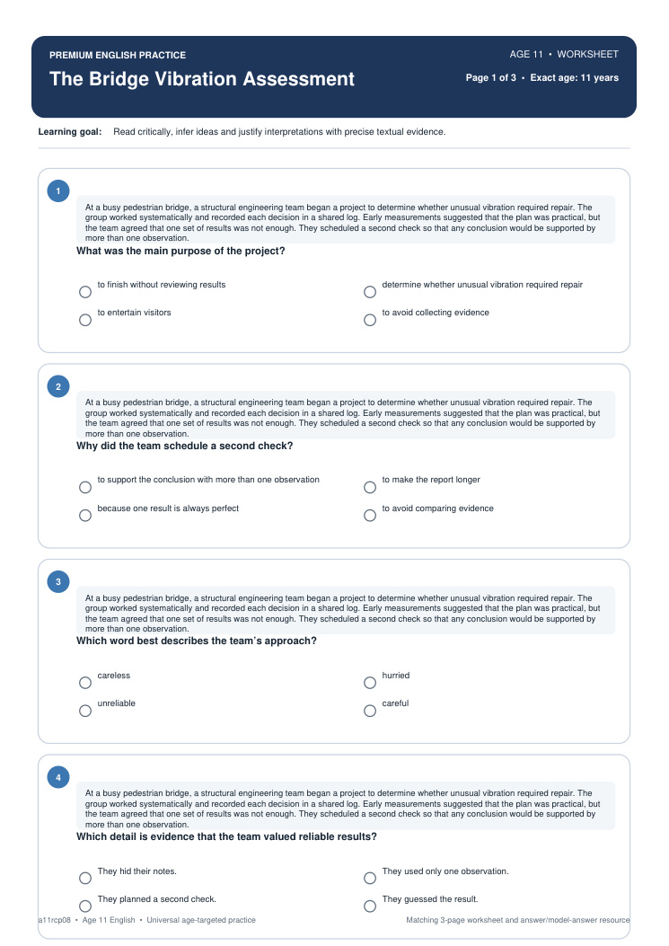 The Bridge Vibration Assessment worksheet preview