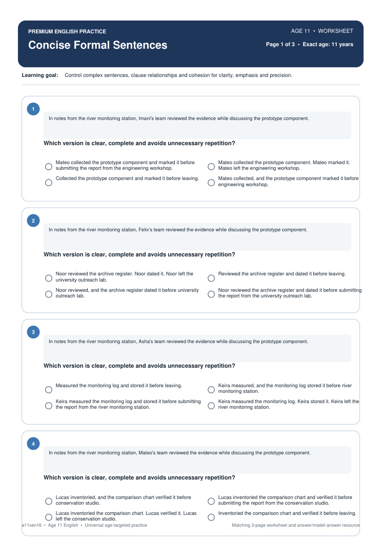 Concise Formal Sentences worksheet preview