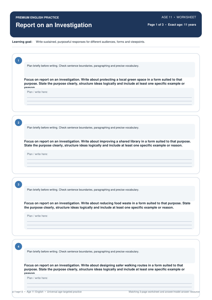 Report on an Investigation worksheet preview