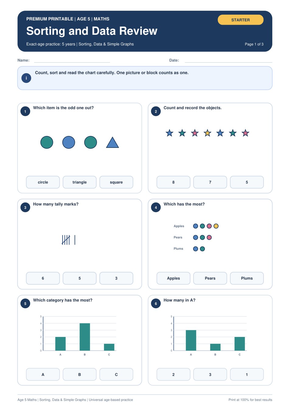 Sorting and Data Review worksheet preview