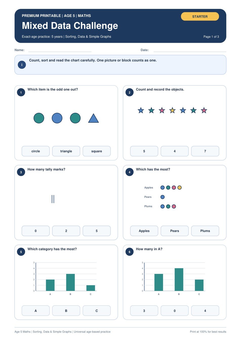 Mixed Data Challenge worksheet preview