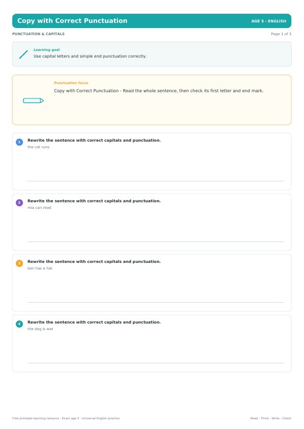 Copy with Correct Punctuation worksheet preview