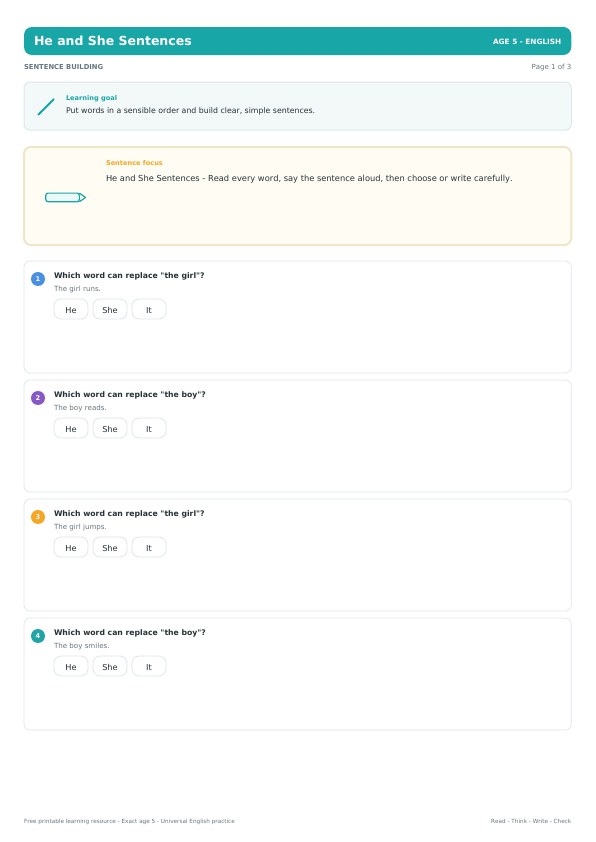 He and She Sentences worksheet preview