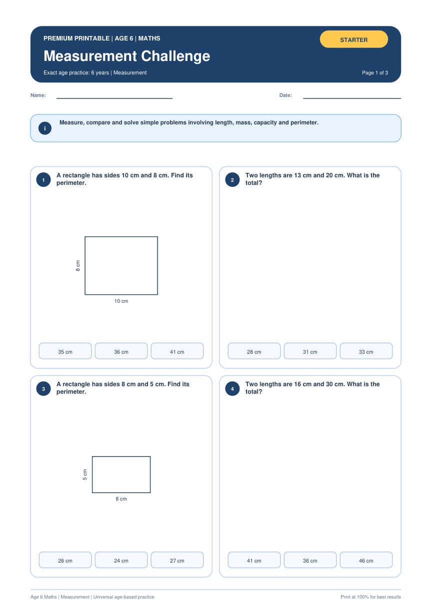 Measurement Challenge worksheet preview