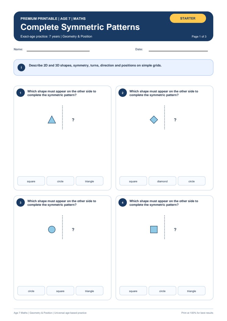 Complete Symmetric Patterns worksheet preview