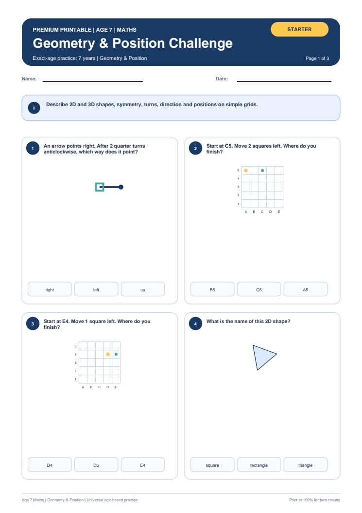 Geometry & Position Challenge worksheet preview