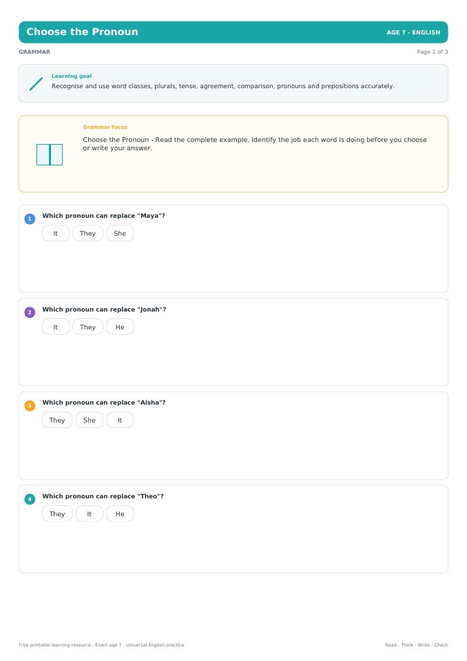 Choose the Pronoun worksheet preview