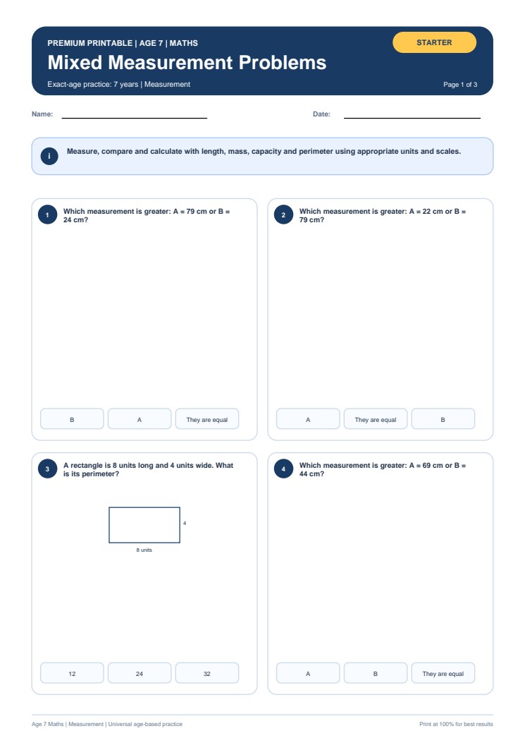 Mixed Measurement Problems worksheet preview