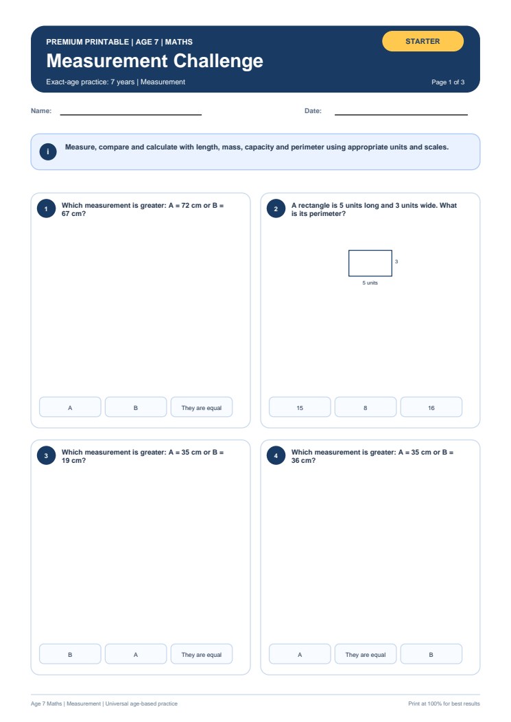 Measurement Challenge worksheet preview