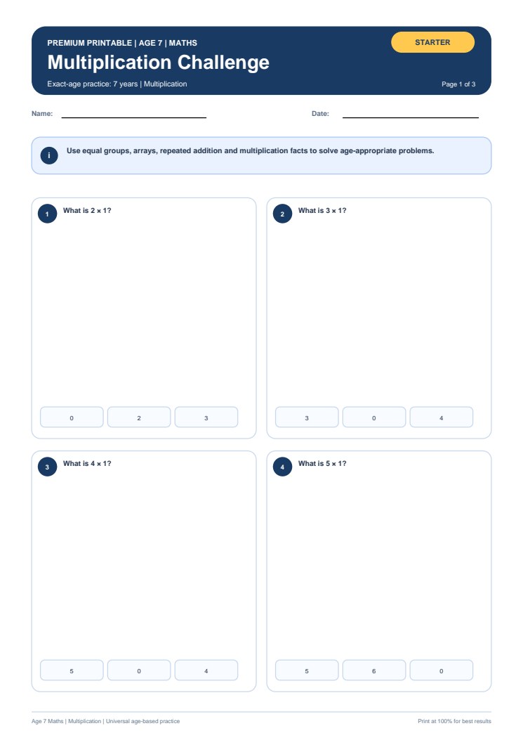 Multiplication Challenge worksheet preview