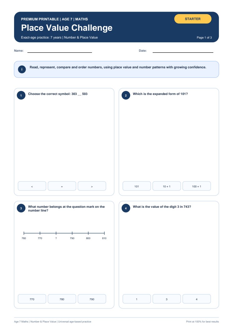 Place Value Challenge worksheet preview