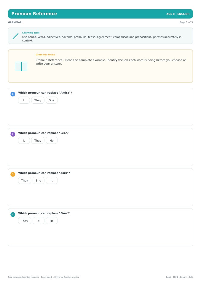 Pronoun Reference worksheet preview