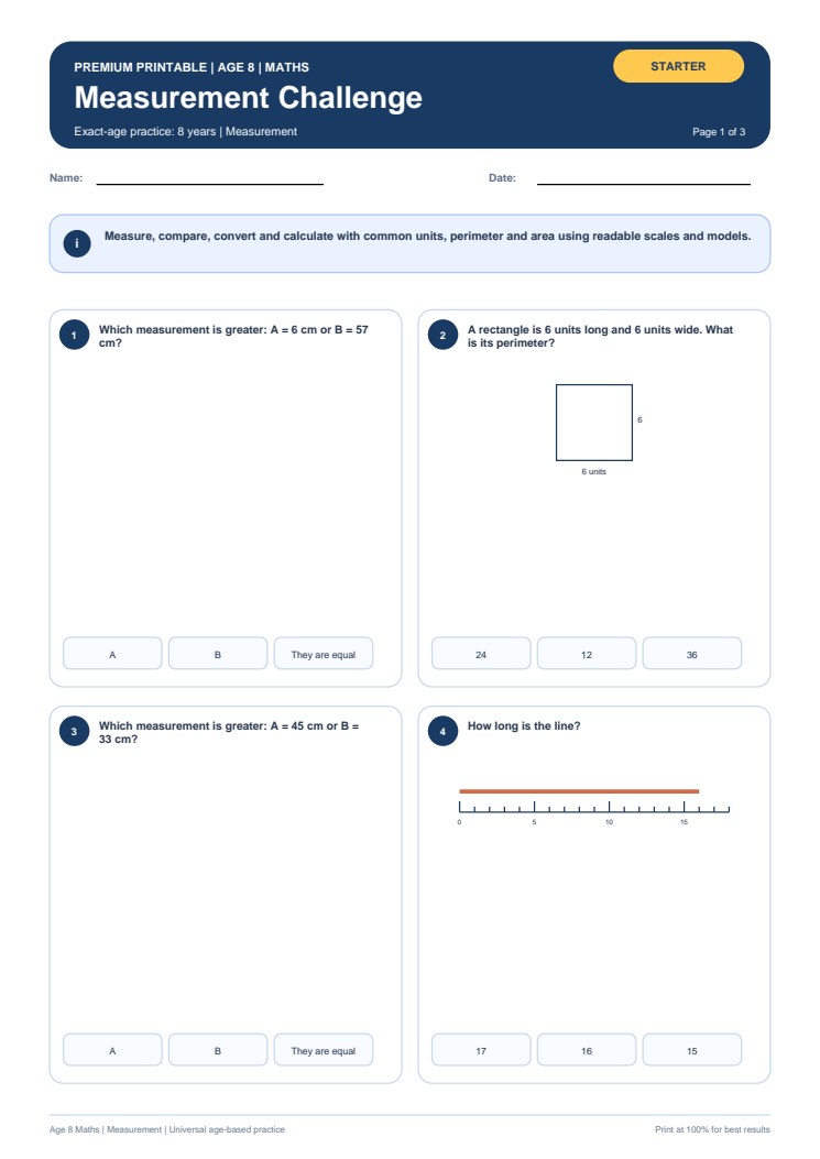 Measurement Challenge worksheet preview