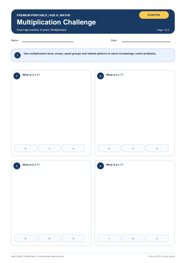 Multiplication Challenge worksheet preview