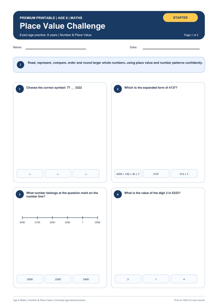 Place Value Challenge worksheet preview