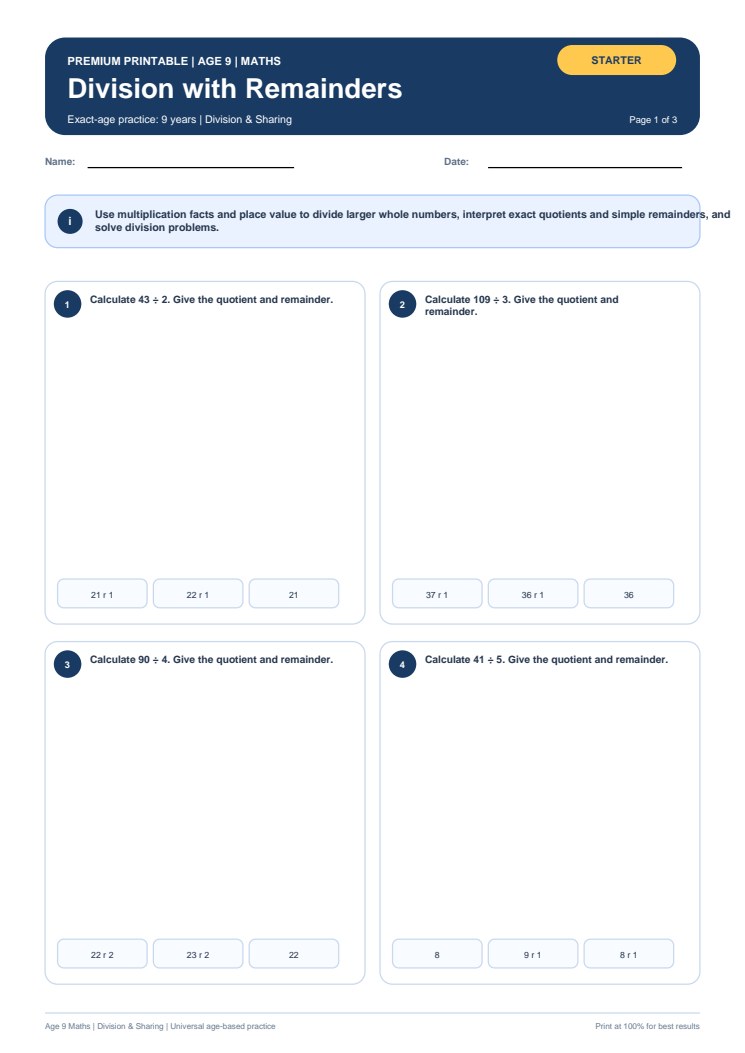 Division with Remainders worksheet preview