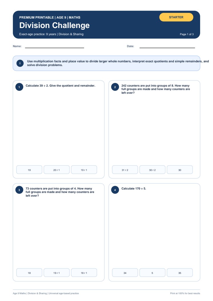 Division Challenge worksheet preview
