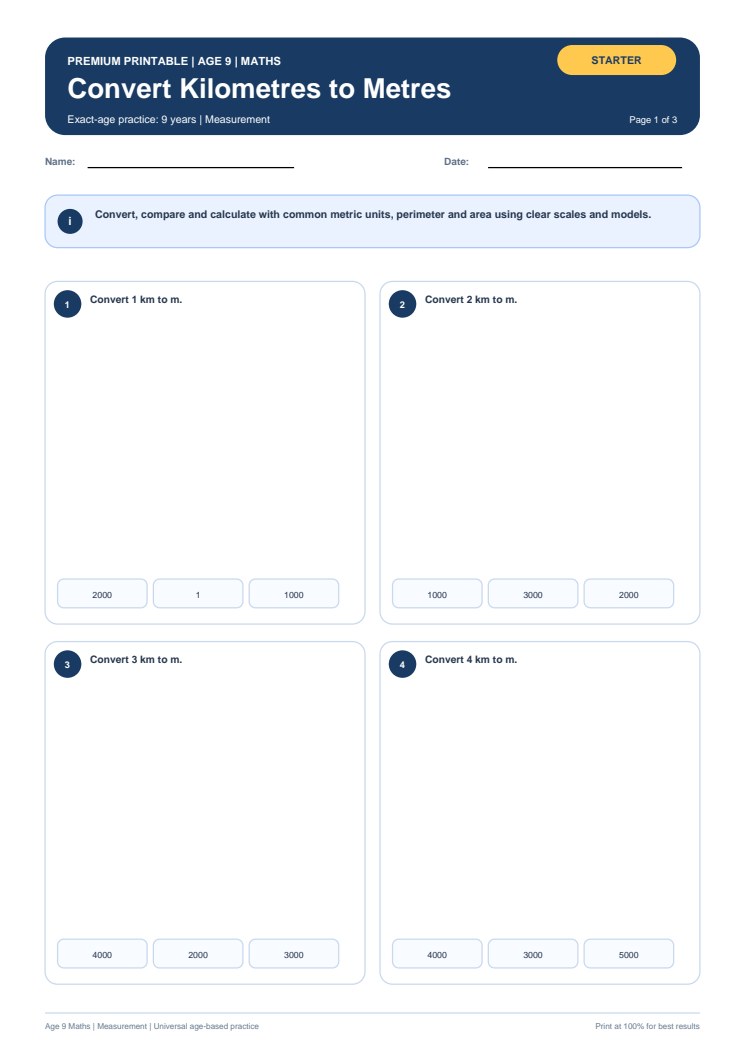 Convert Kilometres to Metres worksheet preview
