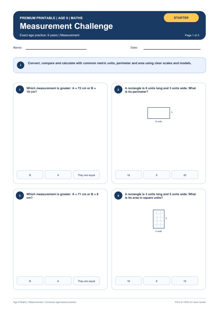 Measurement Challenge worksheet preview