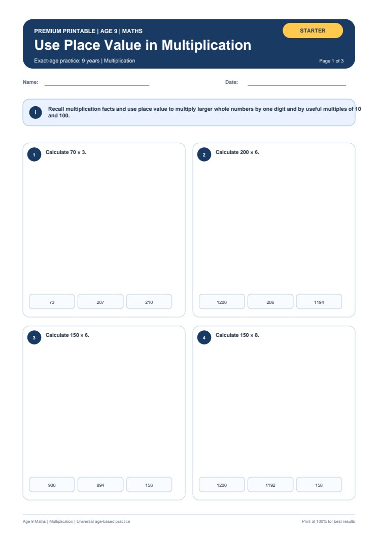 Use Place Value in Multiplication worksheet preview